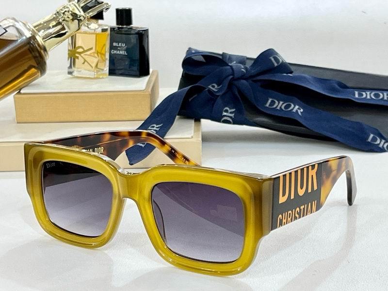 DIOR Sunglasses 309